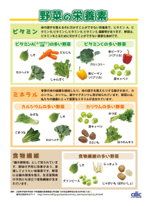 3. 野菜の栄養素