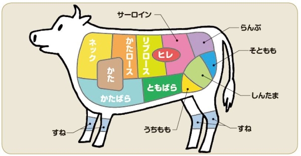キッズコーナー 工作してみよう Br お肉の名前を知っていますか 牛肉編 農畜産業振興機構