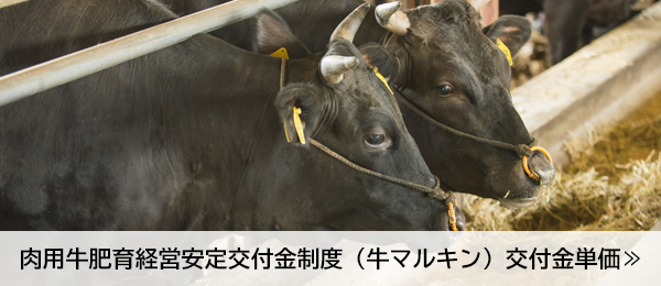肉用牛肥育経営安定交付金制度（牛マルキン）交付金単価