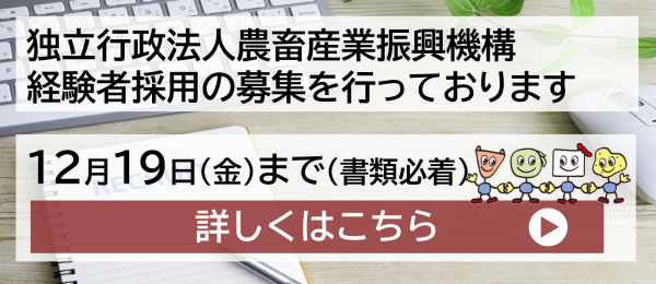 ߘa8N41toҍ̗p̎{ɂ