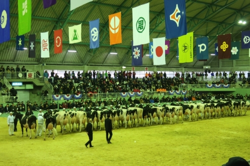 �z���X�^�C�����i��