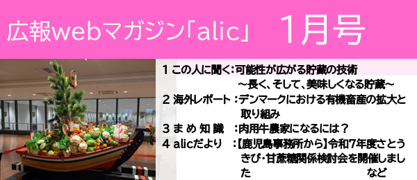 �L��1����