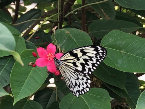 �I�I�S�}�_��