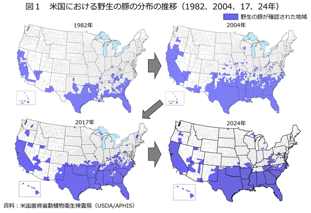 �}1�@�č��ɂ�����쐶�̓؂̕��z�̐��ځi1982�A2004�A17�A24�N�j