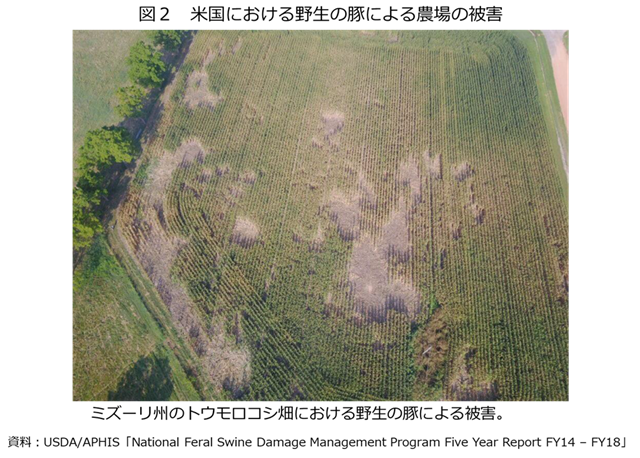 �}2�@�č��ɂ�����쐶�؂ɂ��_��̔�Q