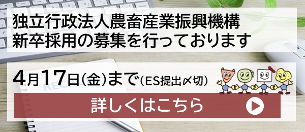 �ߘa9�N�x�V�K�E���̗p�ɂ���