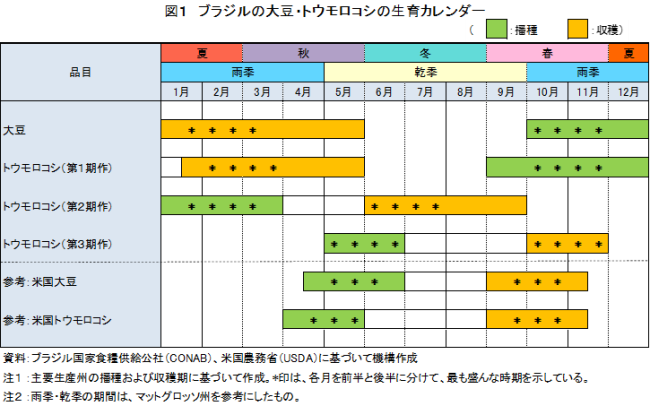 �}1�@�u���W���̑哤�E�g�E�����R�V�̐���J�����_�[